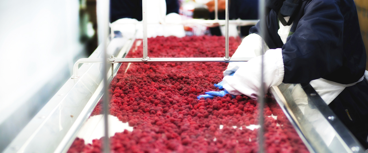 Read more about the article Production Process of Frozen Fruits