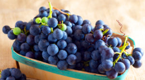 concord grape health benefits