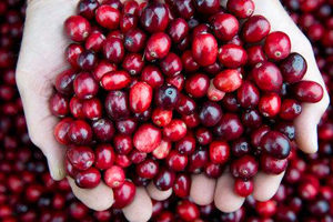 cranberry health benefits