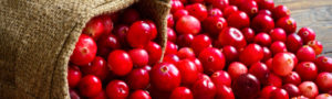 Read more about the article Cranberry health benefits nutrition facts cultivation harvest article
